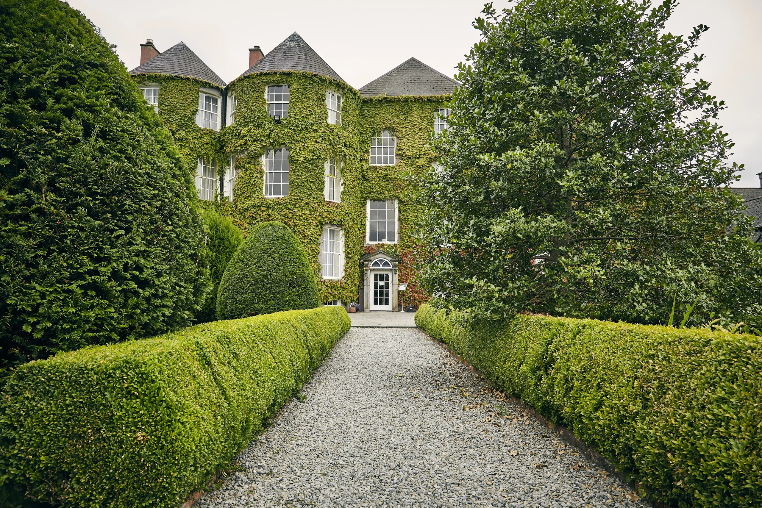 vertical-shot-pathway-kilkenny-dukesmeadows